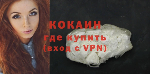 дурь Краснослободск