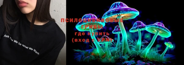 прущие грибы Кукмор