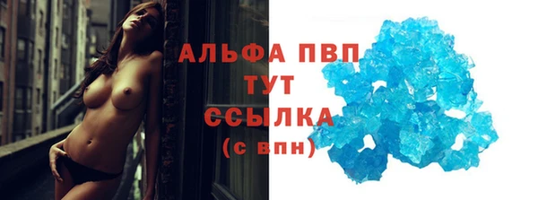 прущие грибы Кукмор