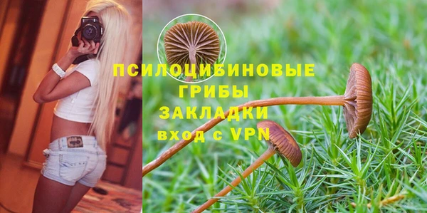 МДМА Куйбышев