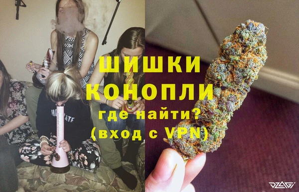 прущие грибы Кукмор