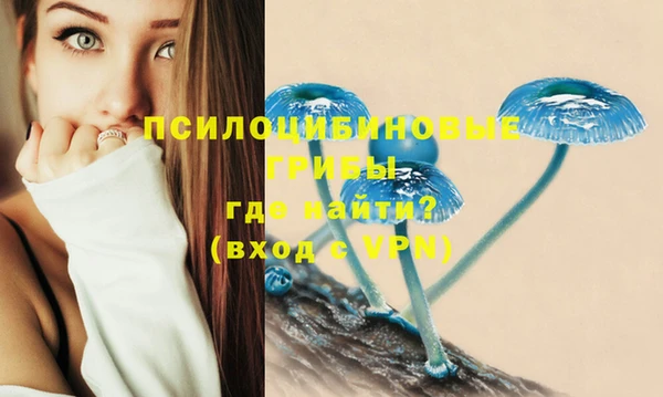 МДМА Куйбышев