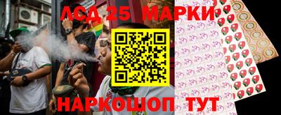 кокс Донской