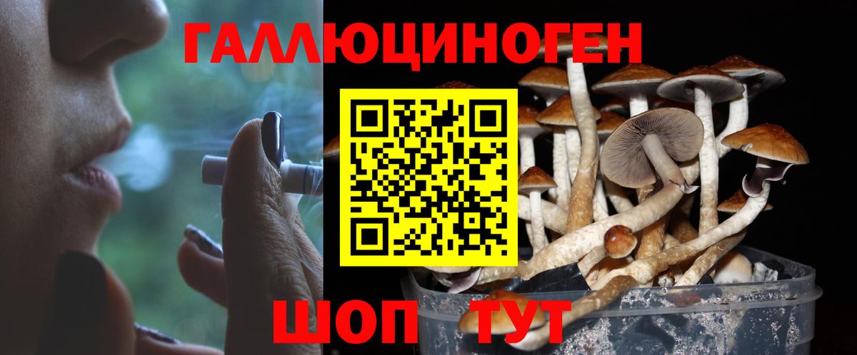 Псилоцибиновые грибы Psilocybe  купить наркоту  Южно-Сахалинск  Вход с VPN  Псилоцибиновые грибы Magic Shrooms 